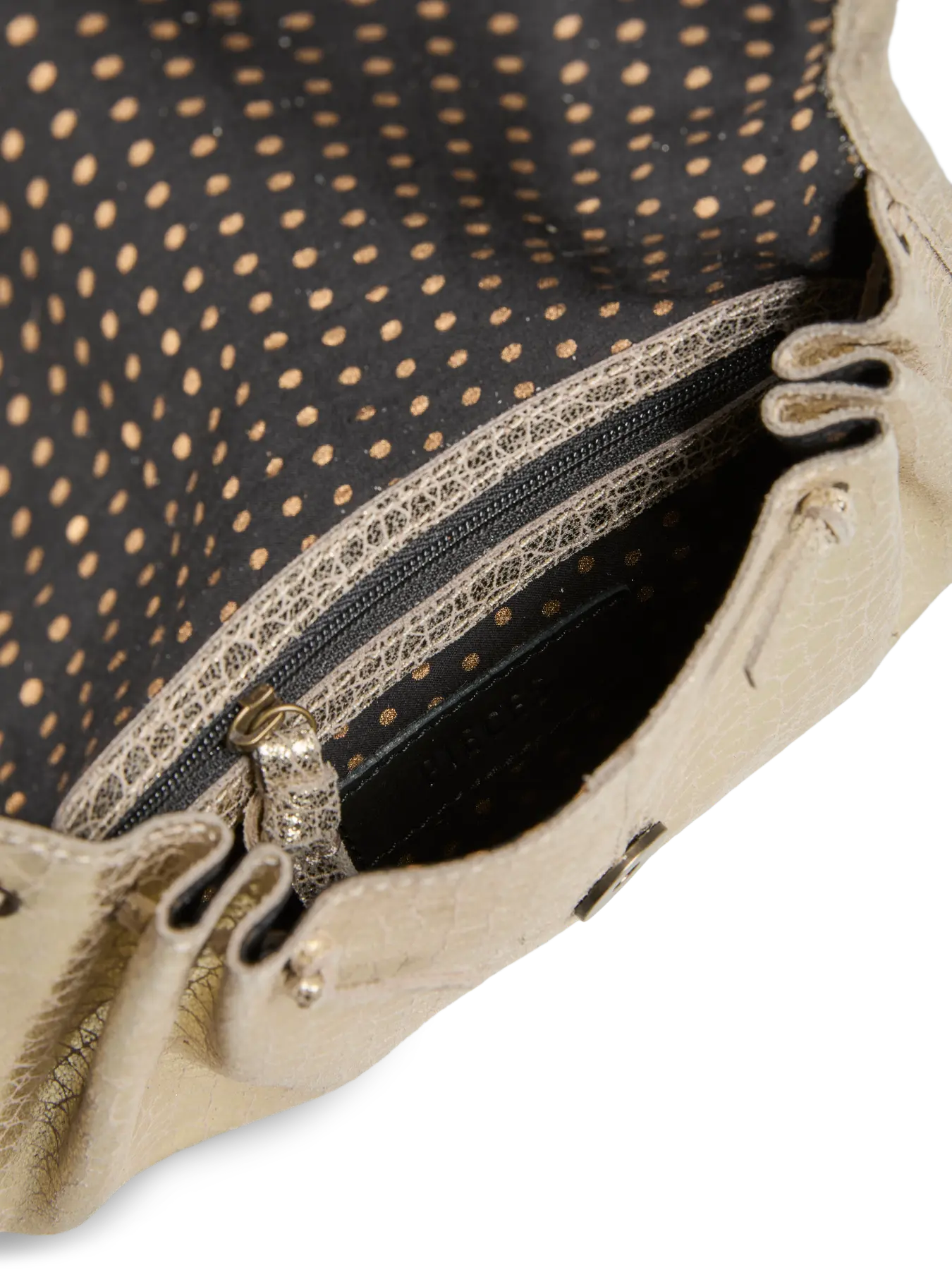 5715724030916_(17160091__Sandshell Gold turtle__3__20250909120900646.jpg)_ORGAHUB