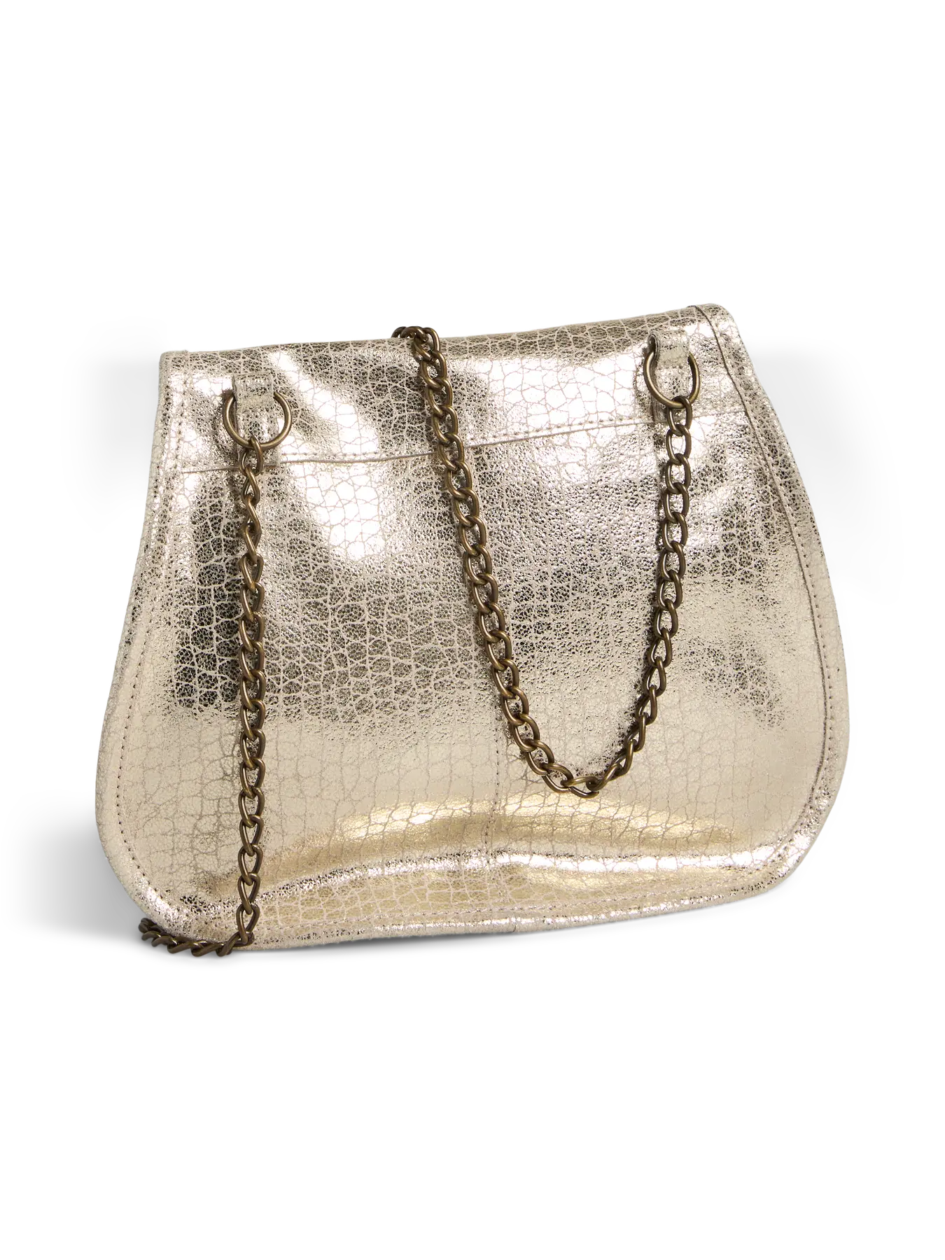 5715724030916_(17160091__Sandshell Gold turtle__2__20250909120858136.jpg)_ORGAHUB