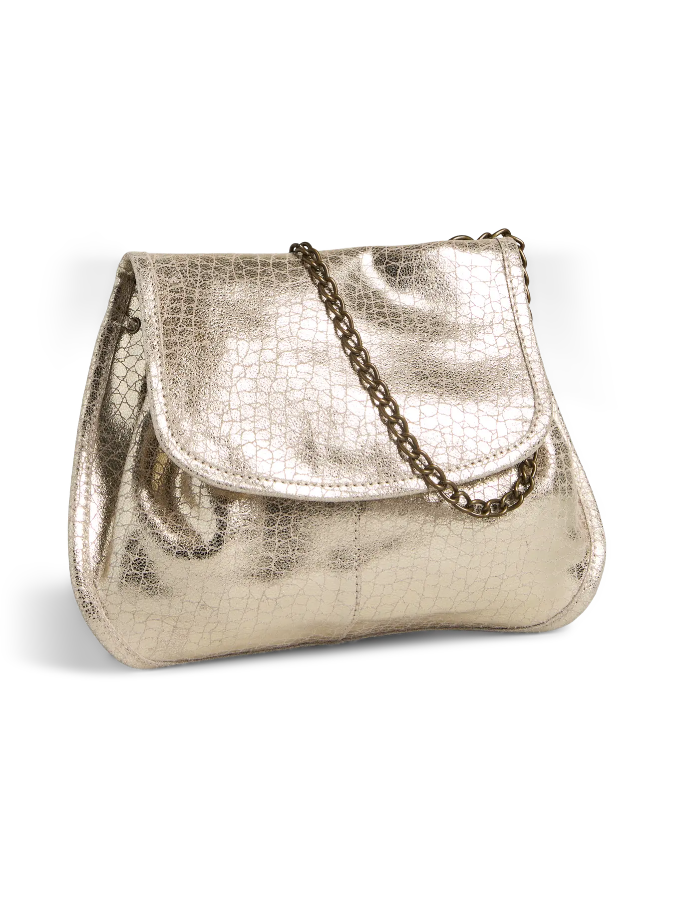 5715724030916_(17160091__Sandshell Gold turtle__1__20250909120855897.jpg)_ORGAHUB